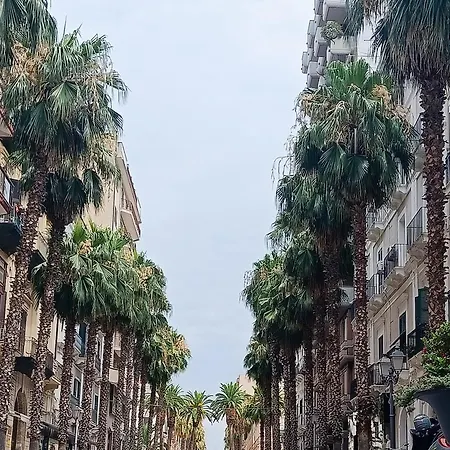 Casa Berardi *